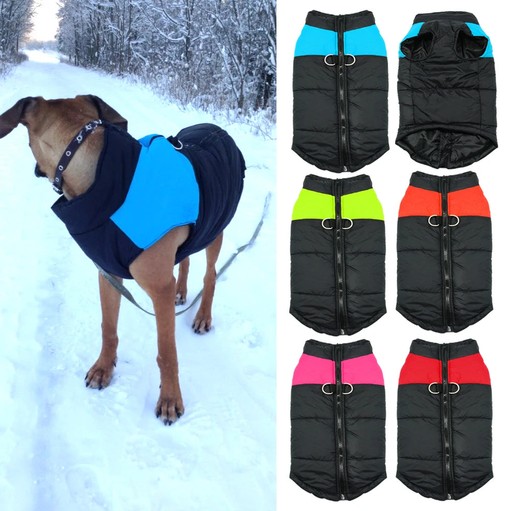 Winter Dog Vest Jacket – Warm Pet Coat for Small to Large Dogs, 4 Colors (S–5XL)