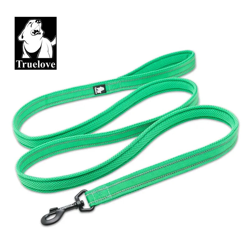 Truelove Mesh Nylon Dog Leash – Double Thickness Reflective Training Lead 200cm