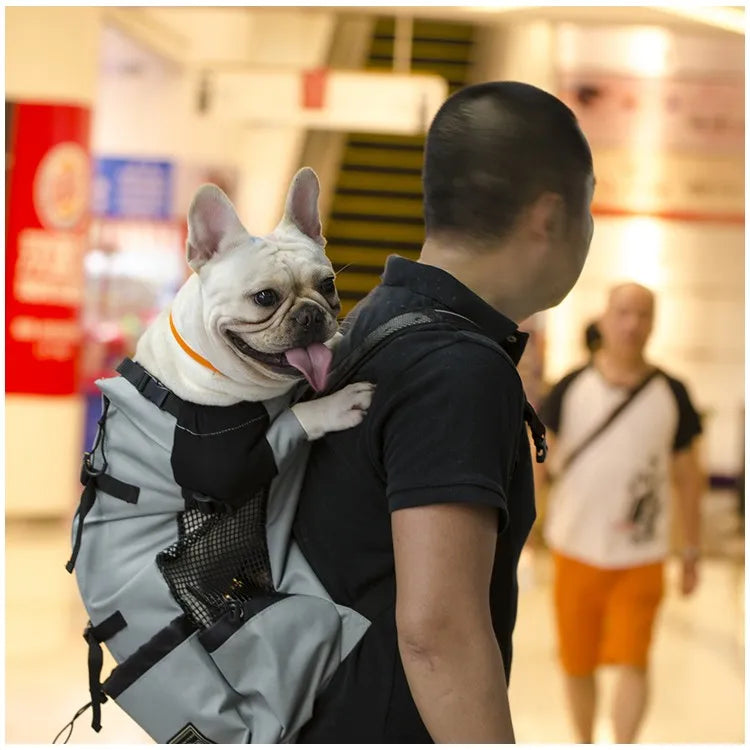 Hiking Pet Dog Carrier Travel Backpack – Breathable Outdoor Pet Bag for Dogs & Cats