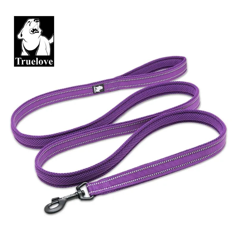Truelove Mesh Nylon Dog Leash – Double Thickness Reflective Training Lead 200cm