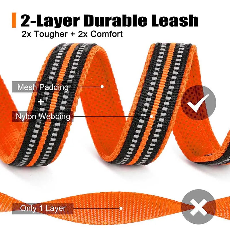 Truelove Mesh Nylon Dog Leash – Double Thickness Reflective Training Lead 200cm