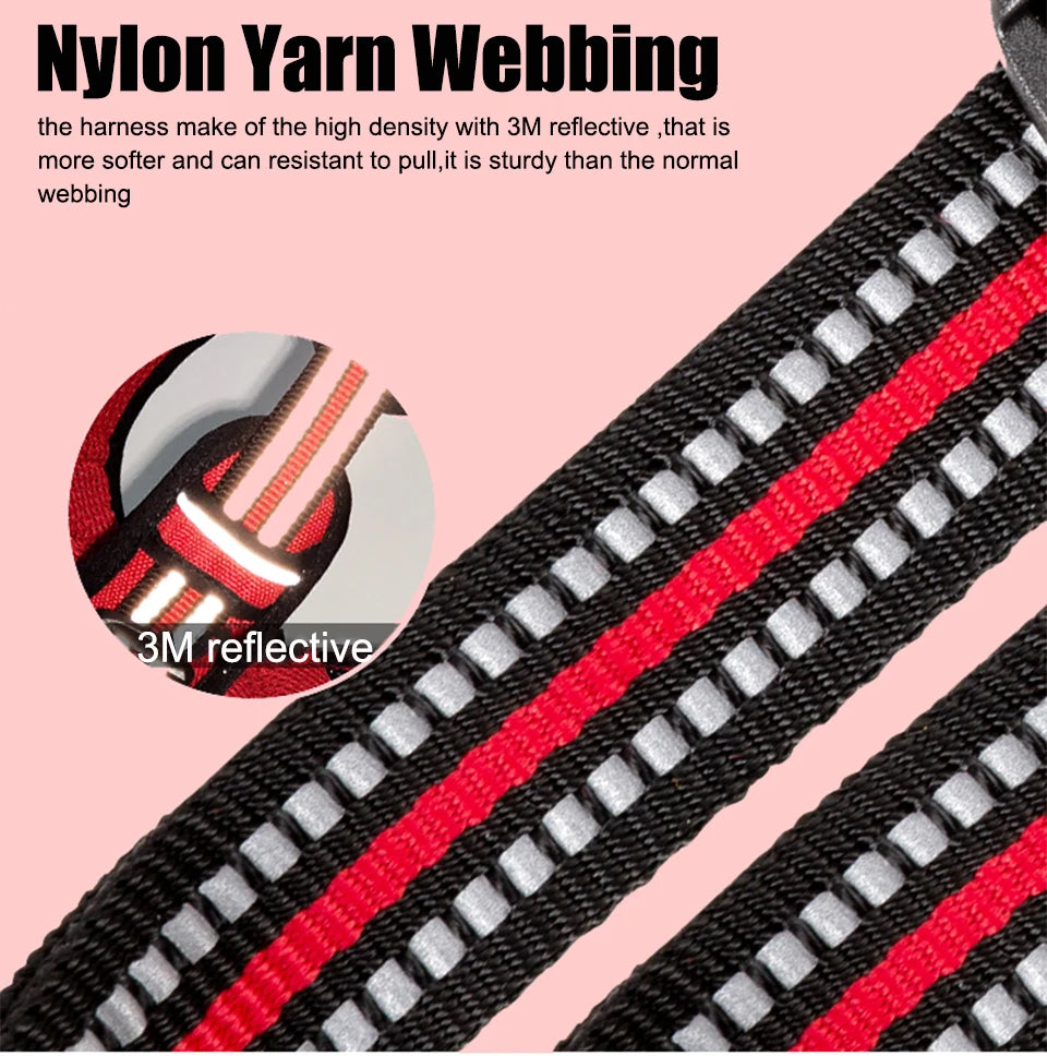 Truelove Reflective Dog Harness – Adjustable No-Pull Nylon Vest with 3M Reflective Webbing (TLH56512)