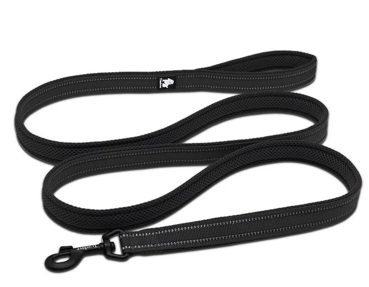 Truelove Mesh Nylon Dog Leash – Double Thickness Reflective Training Lead 200cm