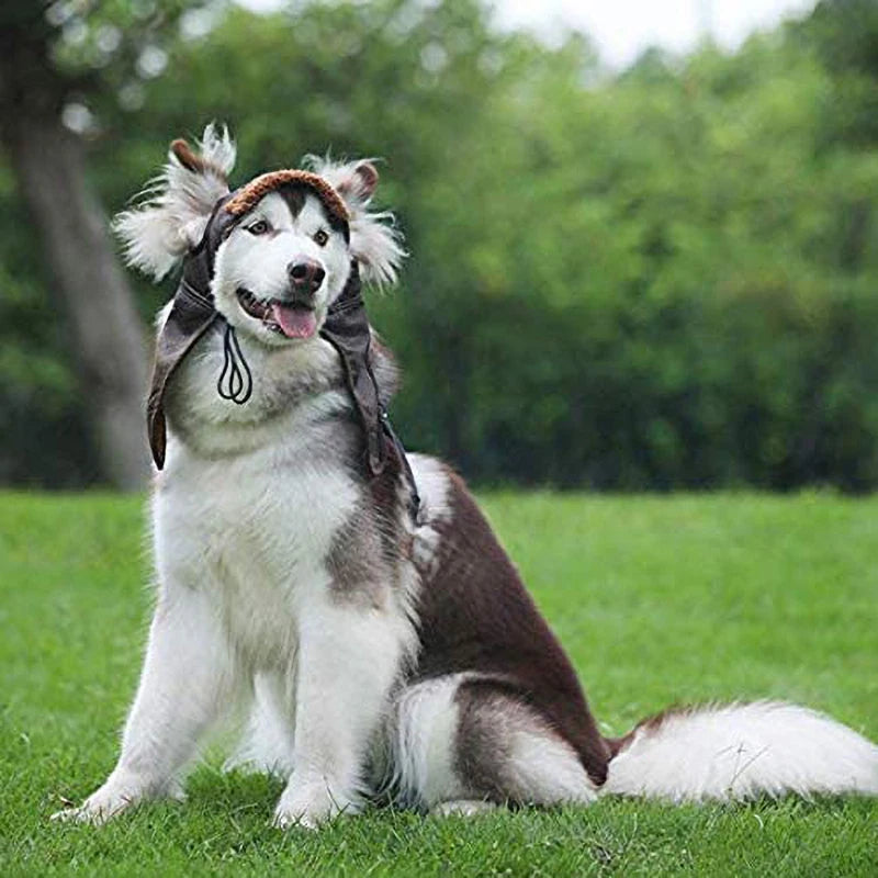 Winter Pilot Pet Hat – Warm Cashmere Cap for Small Dogs & Puppies