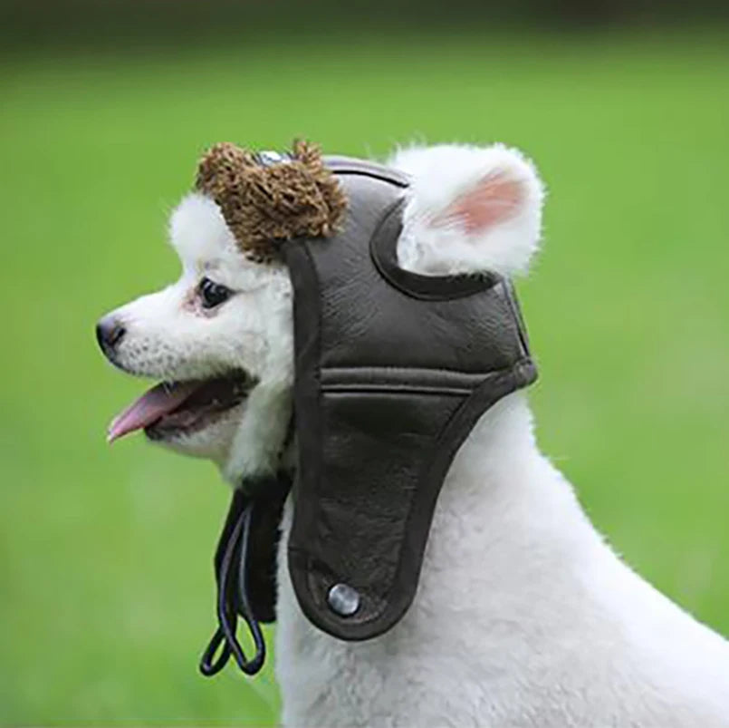 Winter Pilot Pet Hat – Warm Cashmere Cap for Small Dogs & Puppies