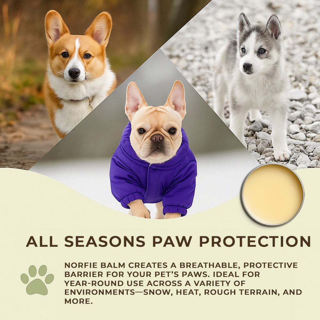 Norfie Repairing Balm  – Natural Healing Balm for Paws, Noses & Elbows