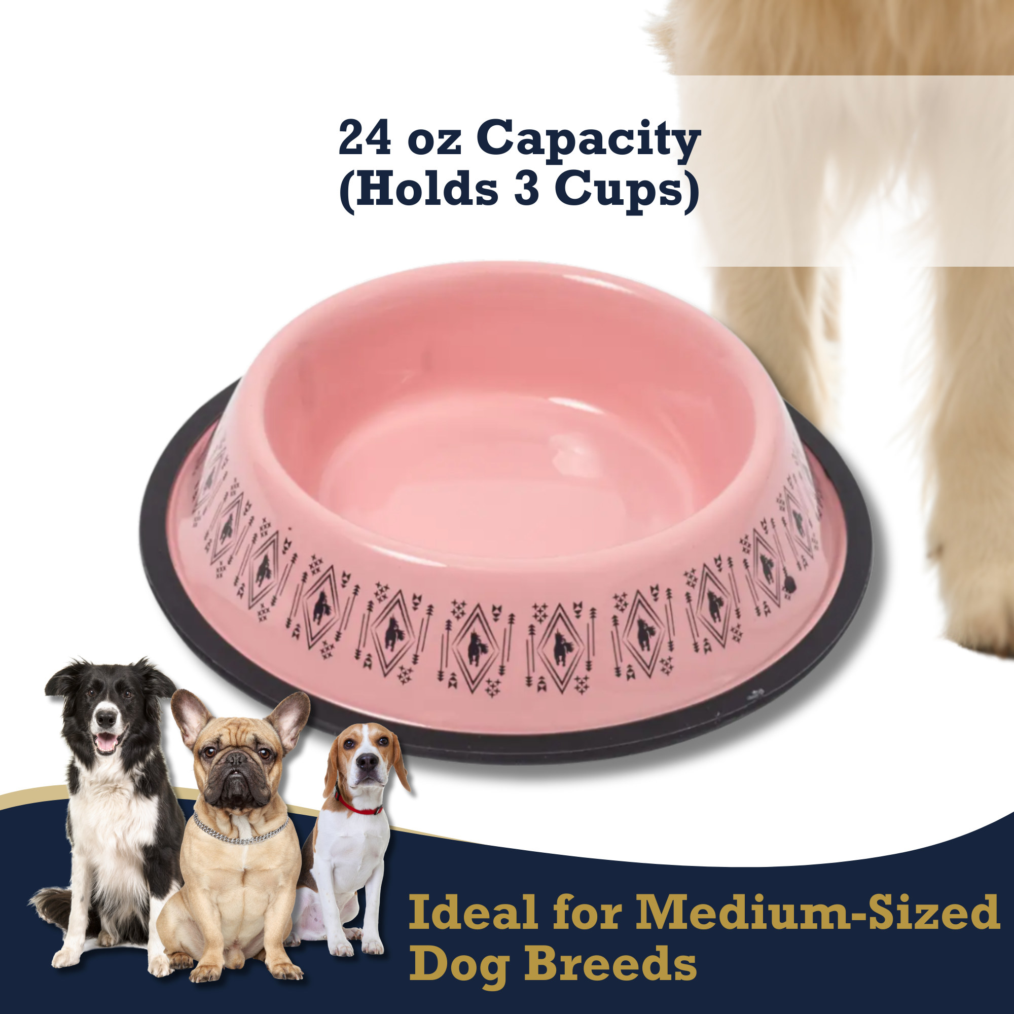 Non-Skid Boho Stainless Steel Dog Bowl – with Whimsical Unicorn Design, Silicone Base for Medium Dogs – 24oz