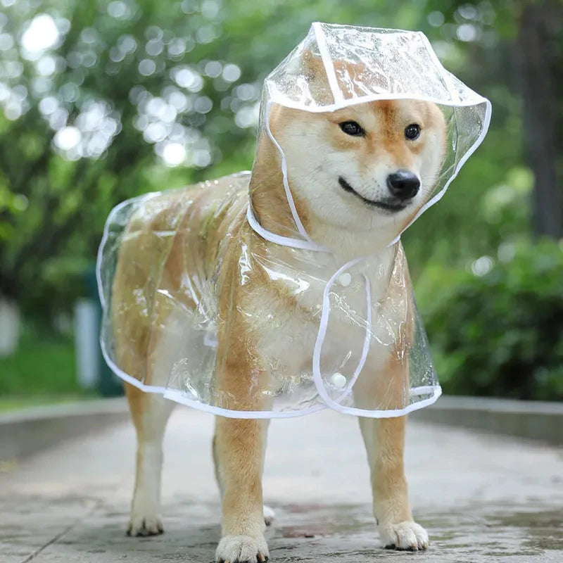 Transparent Dog Raincoat – Waterproof Hooded Rainwear for Small Dogs & Puppies