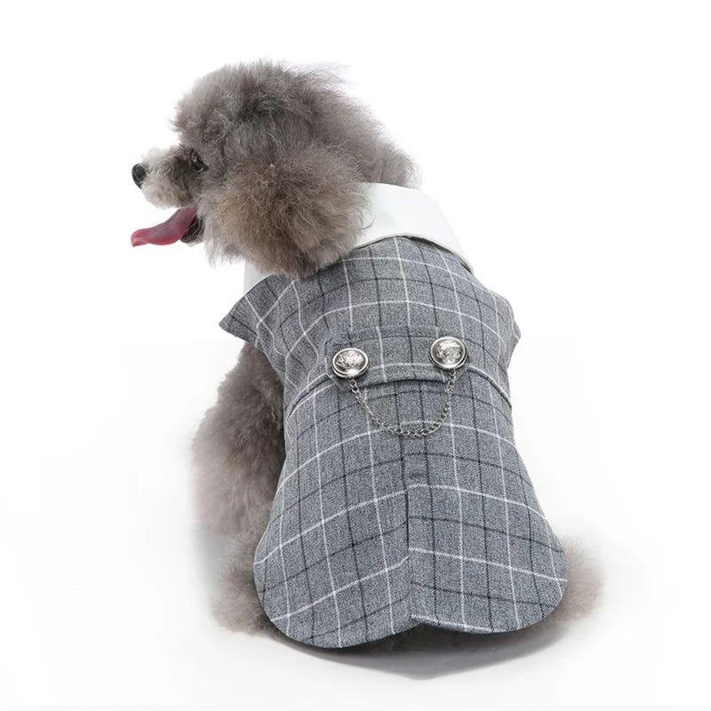 Luxury Dog Tailcoat Suit – Formal Wedding Outfit for Small Dogs (Chihuahua, Maltese, Yorkie)