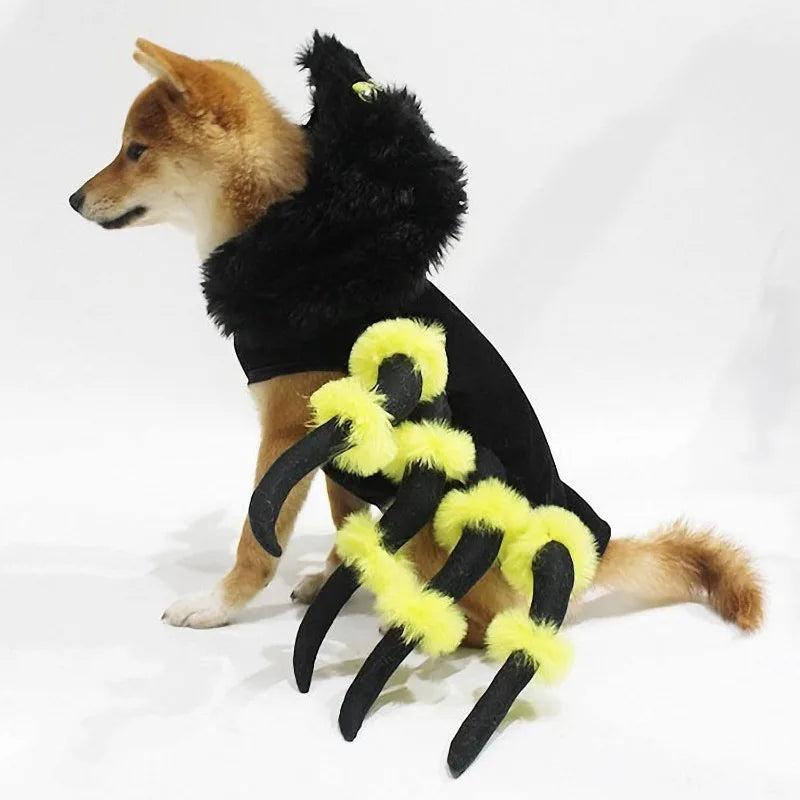 Spider Pet Costume – Funny Halloween Outfit for Dogs & Cats