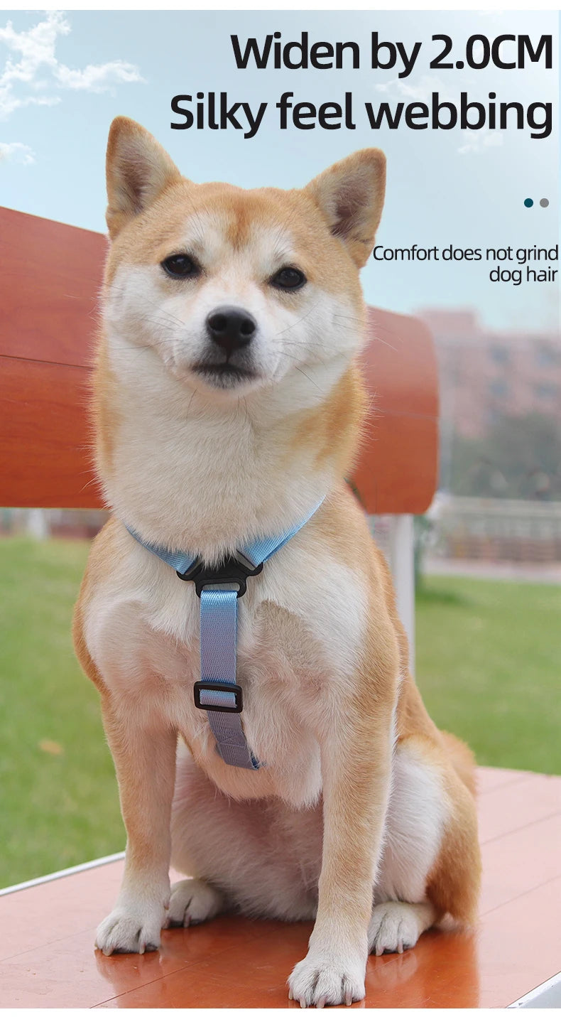 Dog Leash Backpack – Outdoor Travel Self-Leash Bag for Dogs