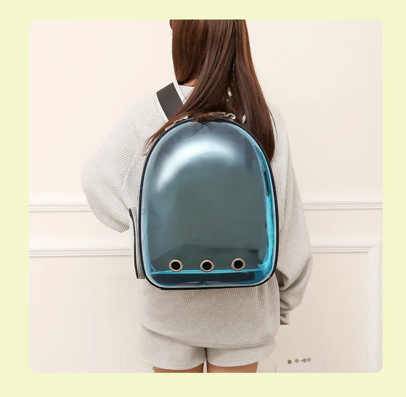 Space Capsule Cat Backpack – Transparent Breathable Pet Travel Bag (2025 Model)