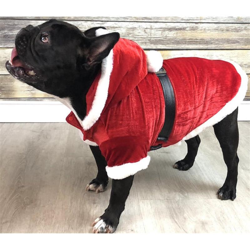 Santa Claus Christmas Holiday Red Velvet Pet Hoodie