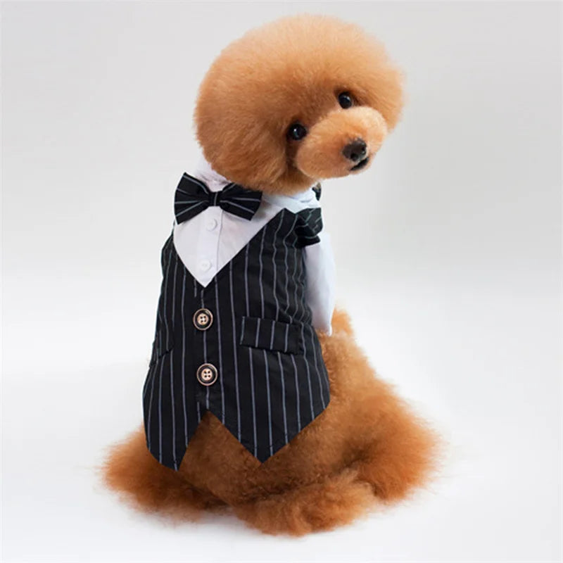 Dog Formal Shirt with Bow Tie – Stylish Tuxedo Suit for Small Dogs & Cats (Wedding & Party Outfit)