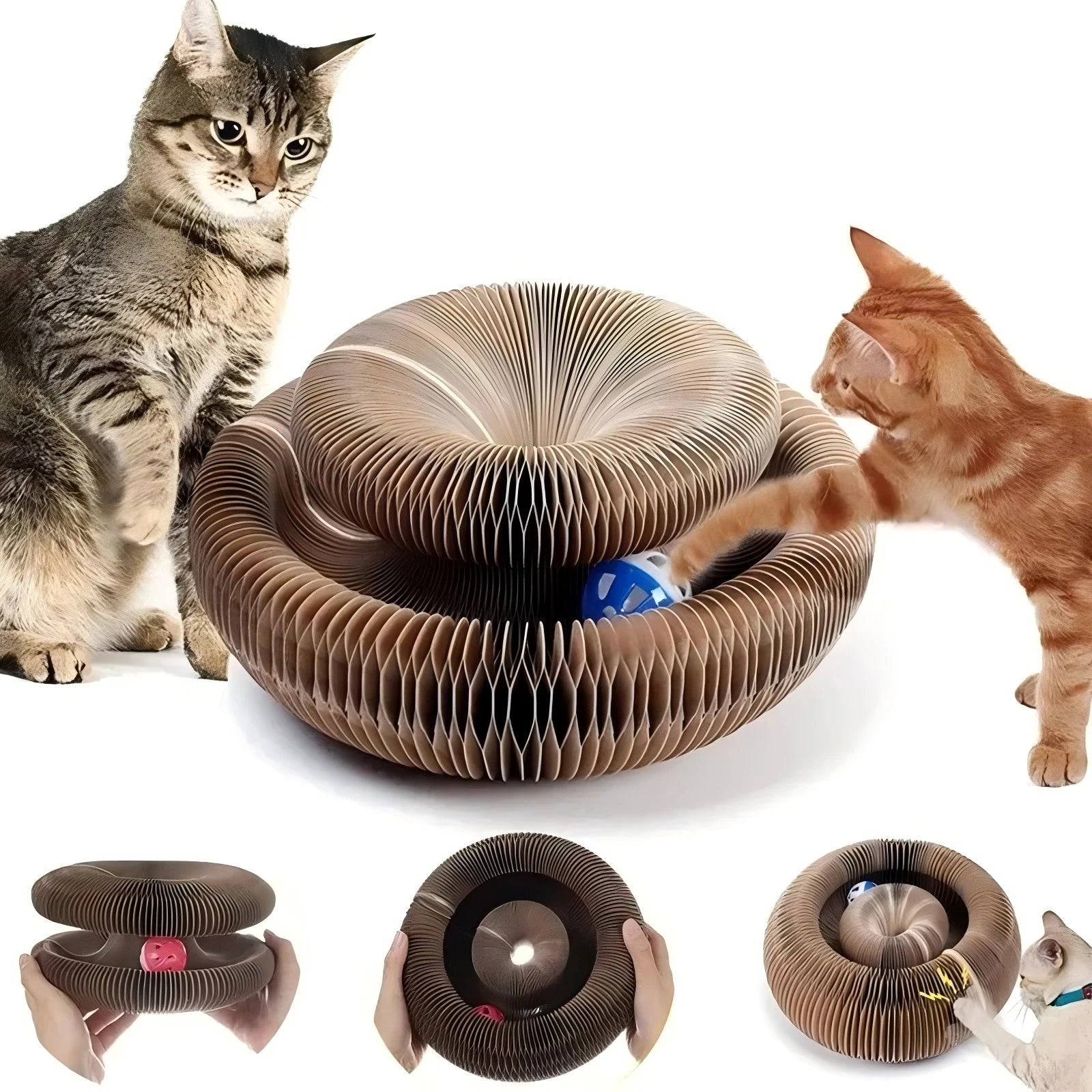 Magic Cat Scratch Organ Board – Round Corrugated Cat Scratching Toy with Ball Track | Claw Grinding & Interactive Play for Kittens and Cats