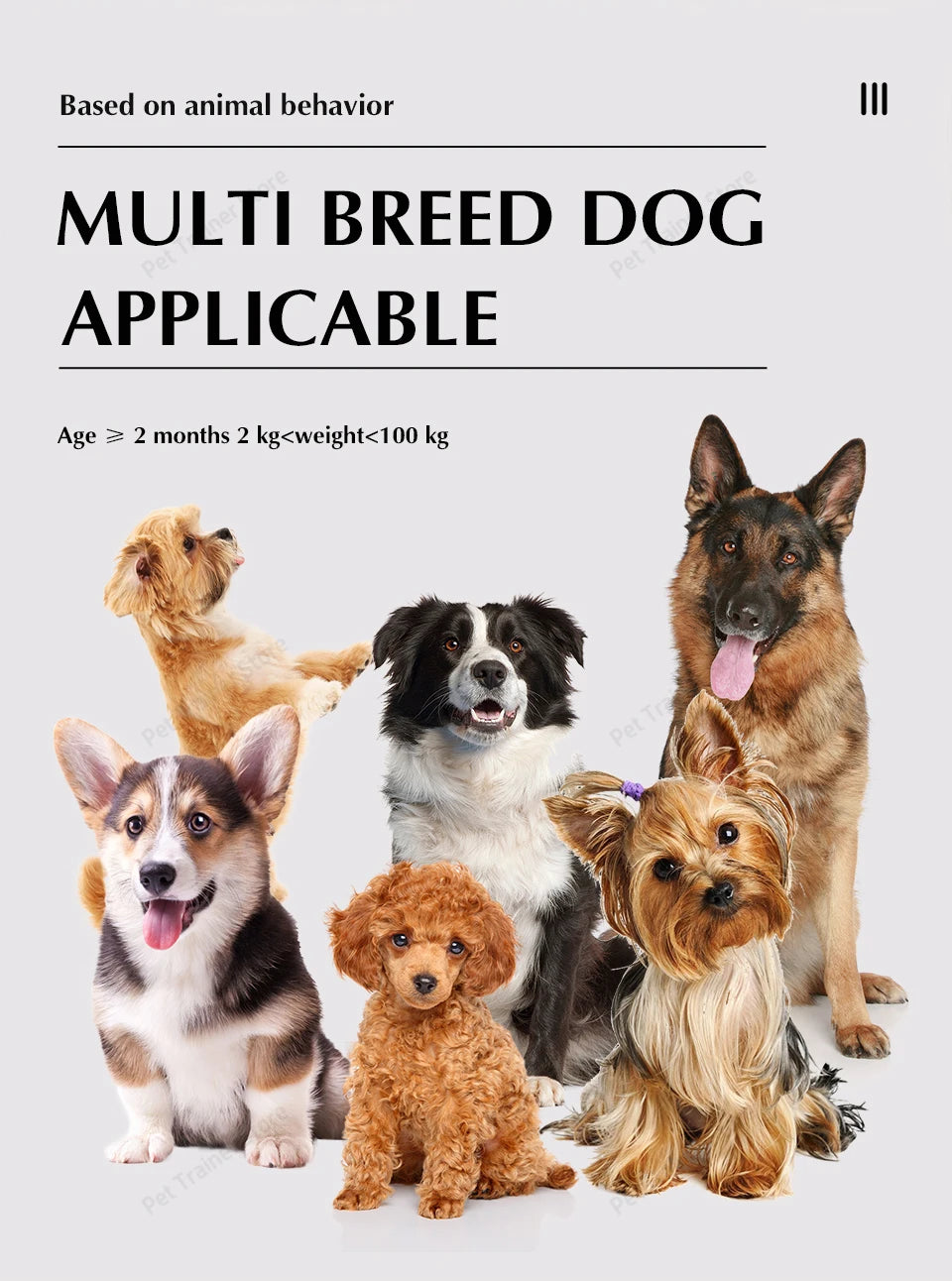 2-in-1 Wireless Dog Fence & Training Collar – Rechargeable Anti-Runaway System for Up to 3 Dogs