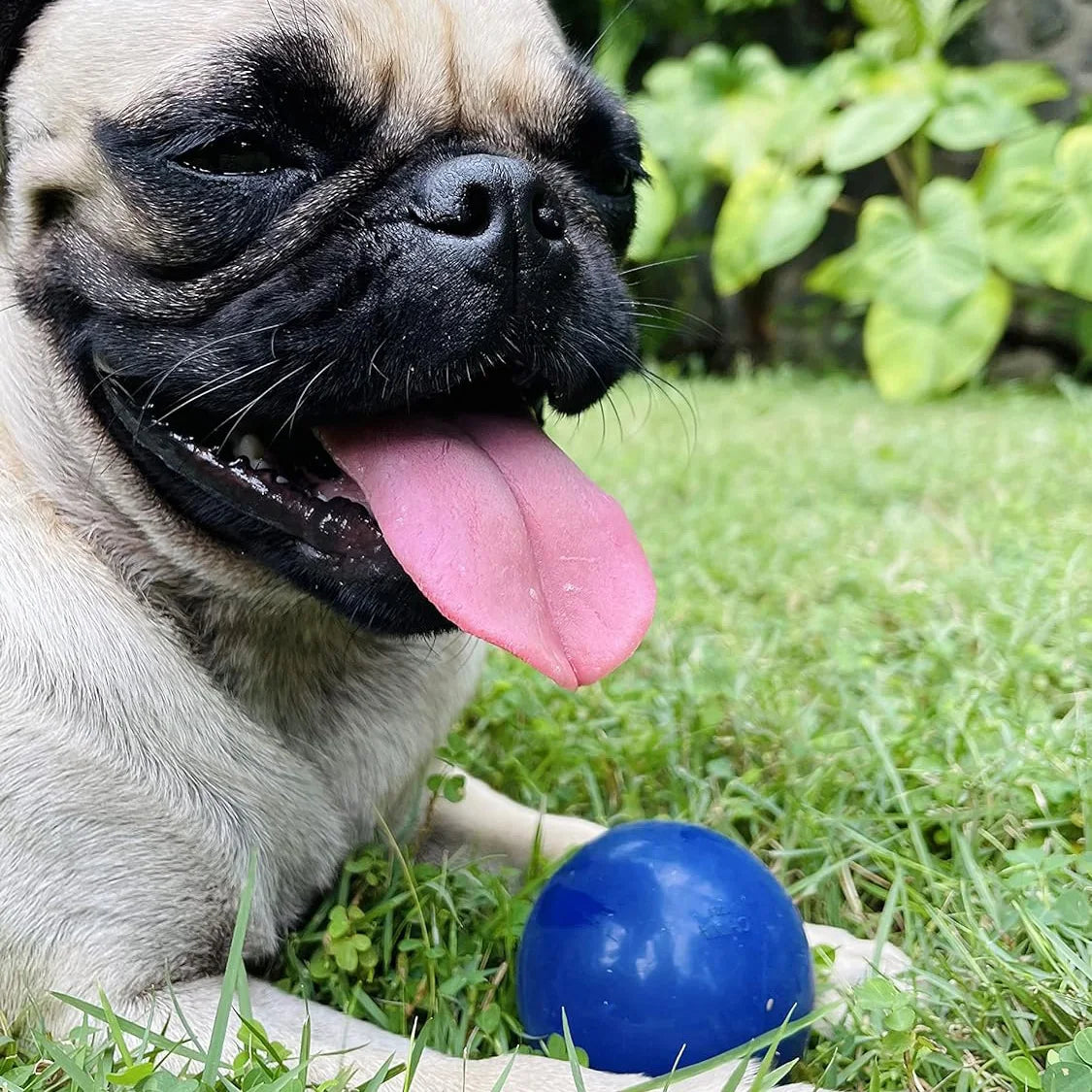 SuperChewy Tough Dog Ball Toy – Durable Natural Rubber Chew Toy for Aggressive Chewers | Large Breed Tested, Great for Fetch