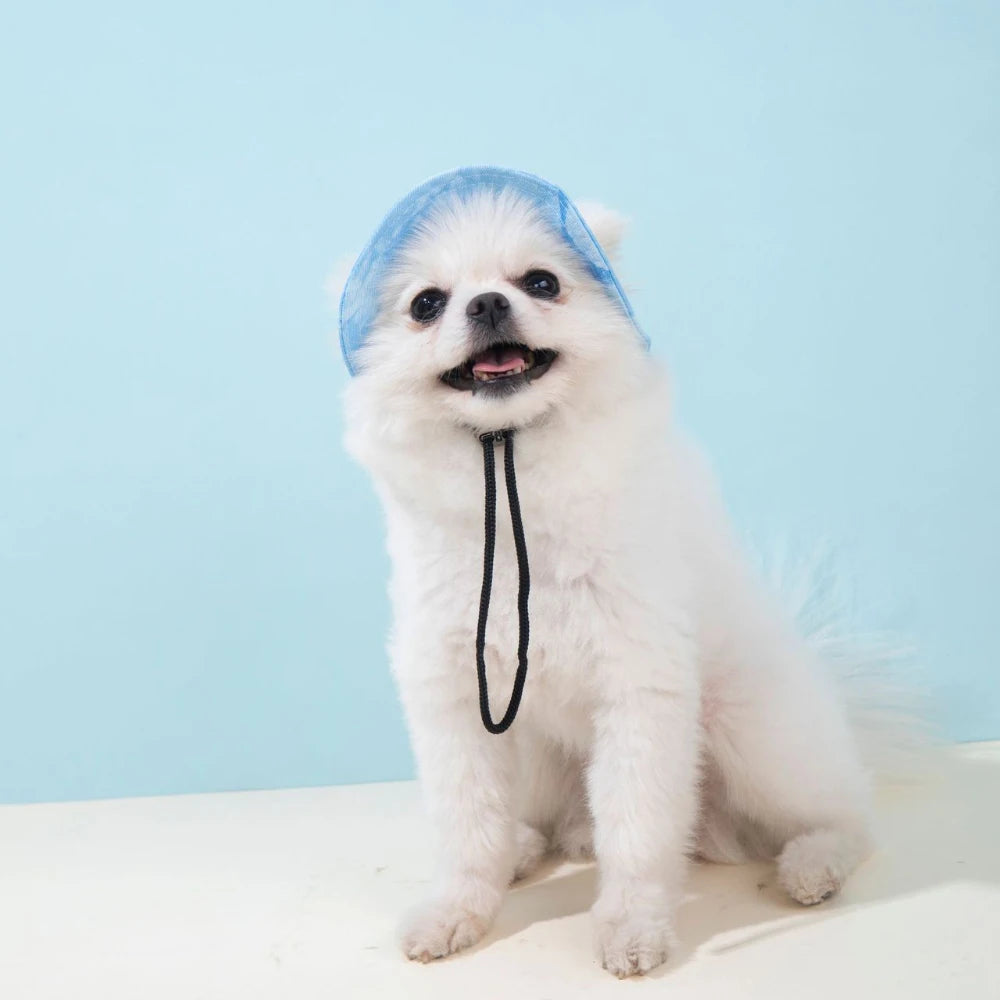 Pet Baseball Cap – Adjustable Summer Hat with Ear Holes for Small & Medium Dogs & Cats