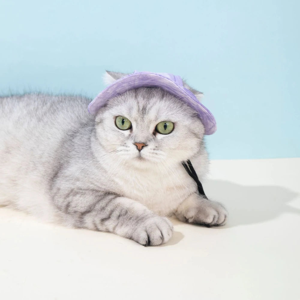 Pet Baseball Cap – Adjustable Summer Hat with Ear Holes for Small & Medium Dogs & Cats