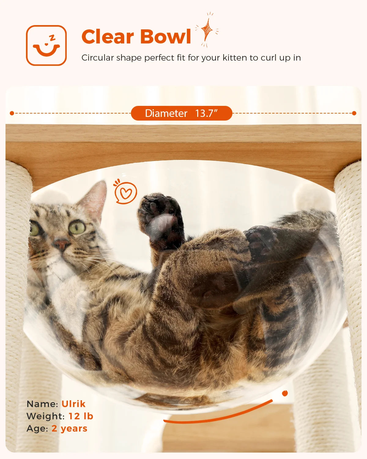 Multi-Level Cat Tree – Condo Tower with Hammock, Scratching Posts & Toys