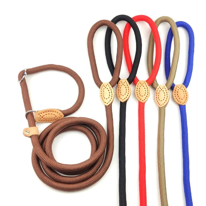 Braided Rope Dog Slip Leash – Adjustable Training Lead for Small & Medium Dogs