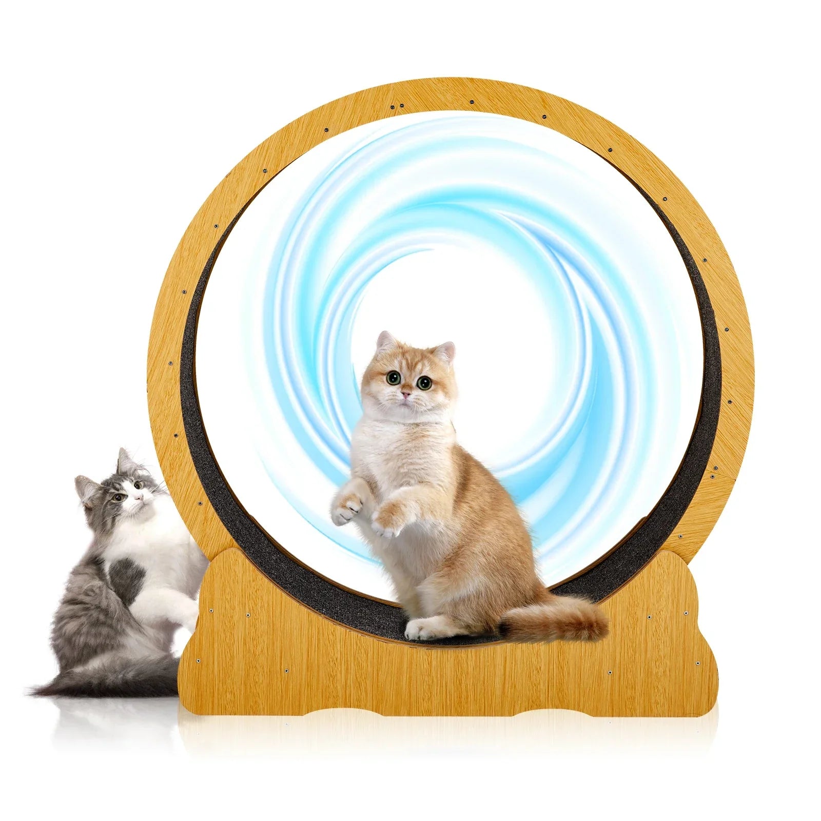 Cat Exercise Wheel – Indoor Running Wheel for Cats & Small Pets