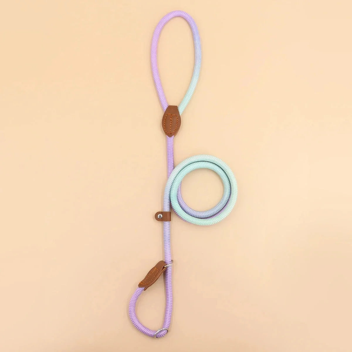 A colorful pet dog leash  indoor and outdoor use