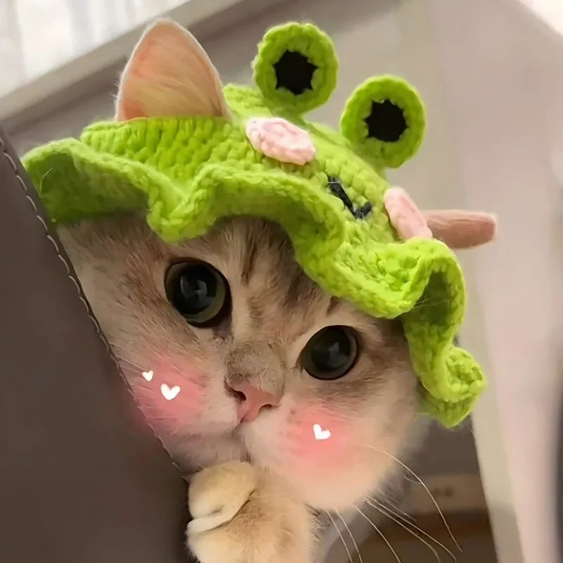 Handmade Knitted Pet Hat – Cute Party Cap for Cats, Kittens & Small Dogs
