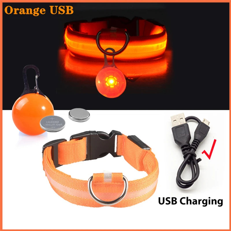 USB Rechargeable LED Dog Collar – Glowing Light-Up Safety Collar with Pendant for Small Dogs & Cats