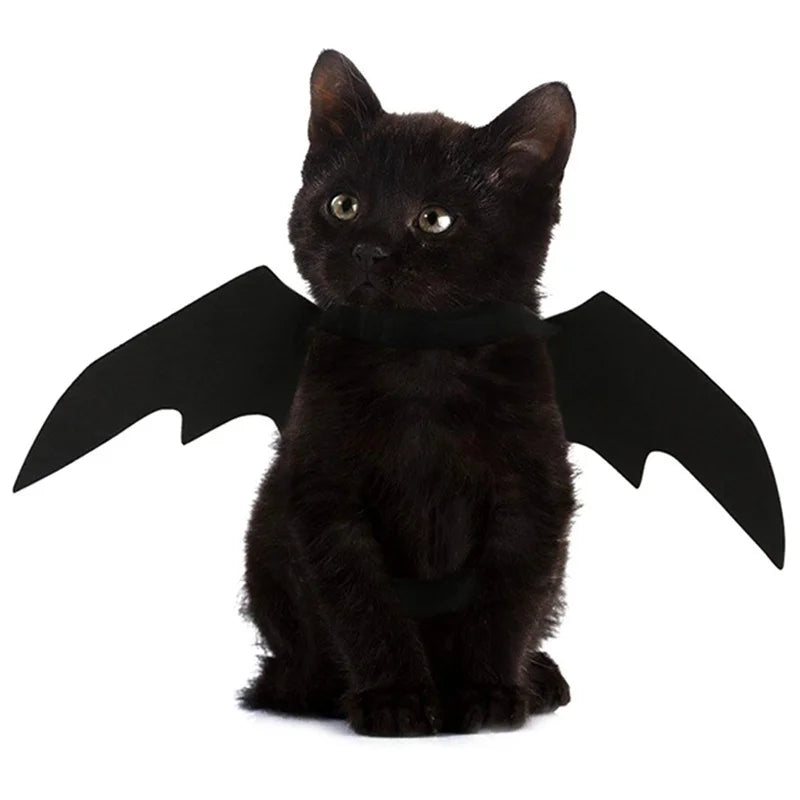 Halloween Bat Wings Costume – Funny Pet Harness Outfit for Dogs & Cats