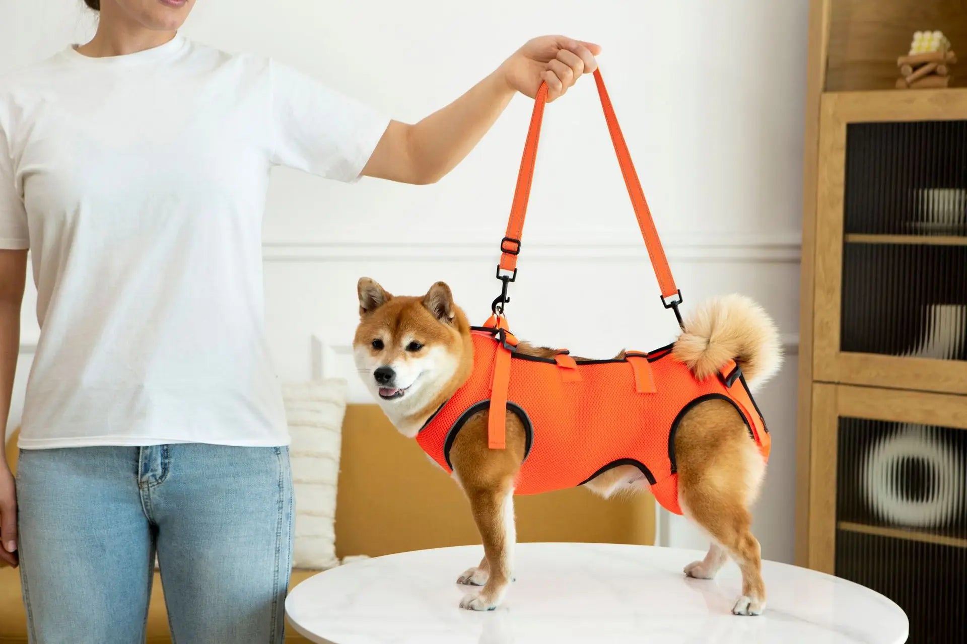 Adjustable Dog Lift Harness – Pet Support & Rehabilitation Sling for Injured Dogs