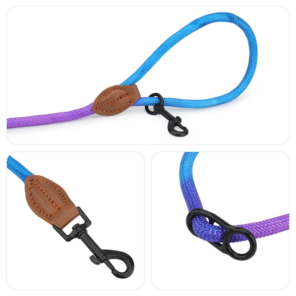 Double Head Crossbody Dog Leash – Training & Walking Rope Lead for Dogs & Cats