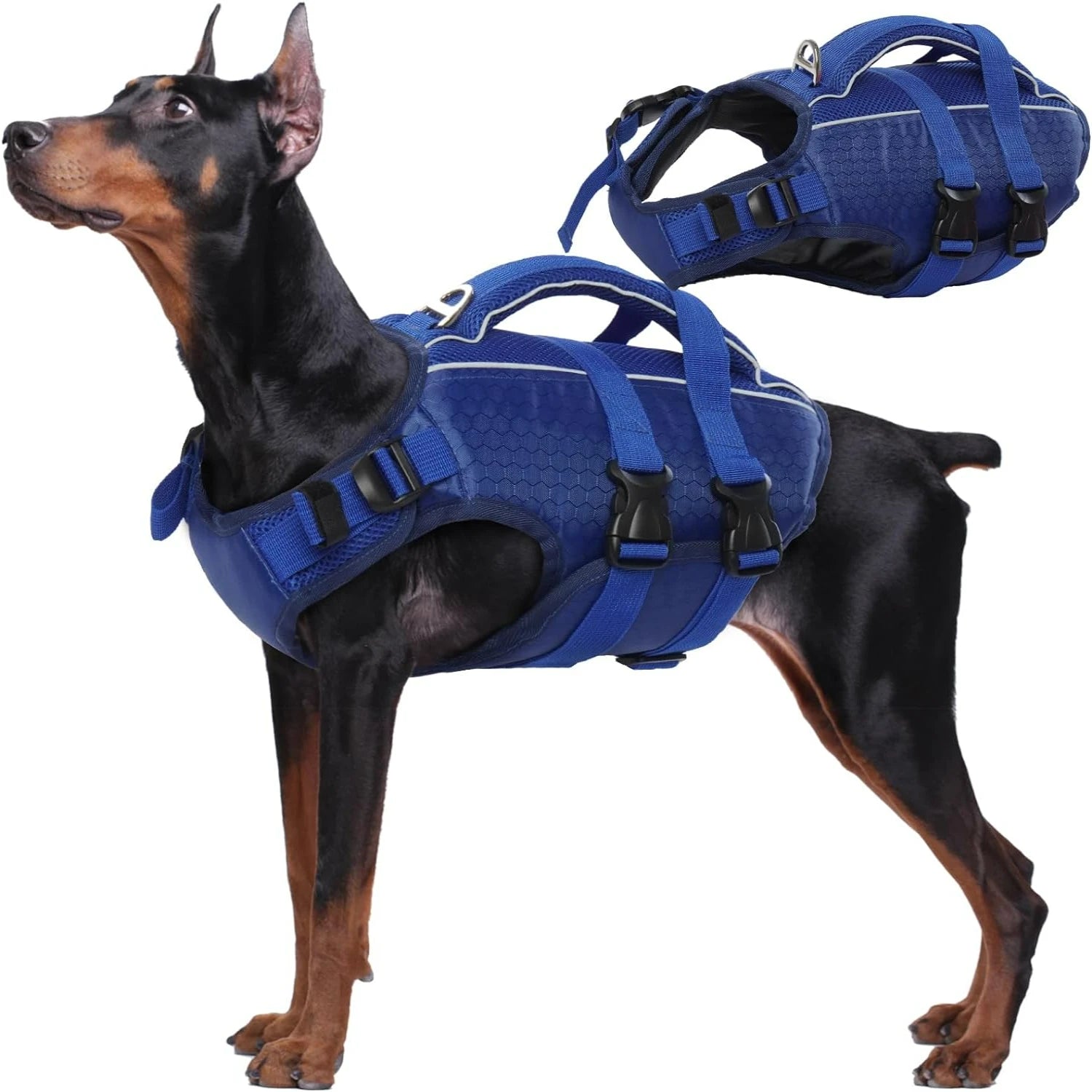 Adjustable High-Flotation Dog Life Jacket – Lightweight & Durable for All Sizes