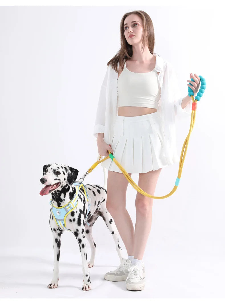 Cotton Candy P-Chain Dog Leash – Anti-Slip, Wear-Resistant Traction Rope