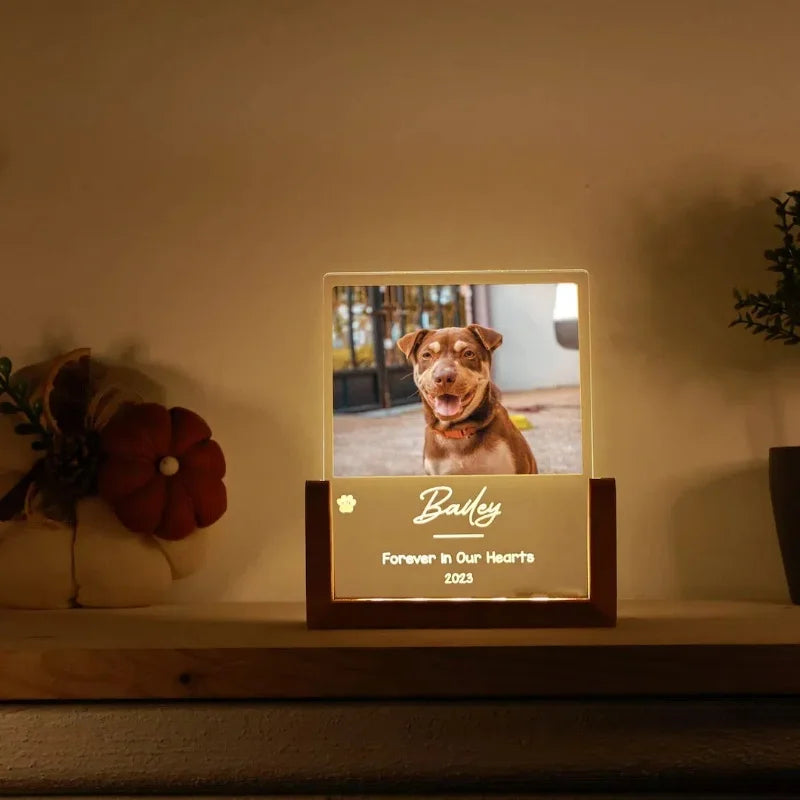 Custom Pet Photo LED Night Light – Acrylic & Wooden Stand