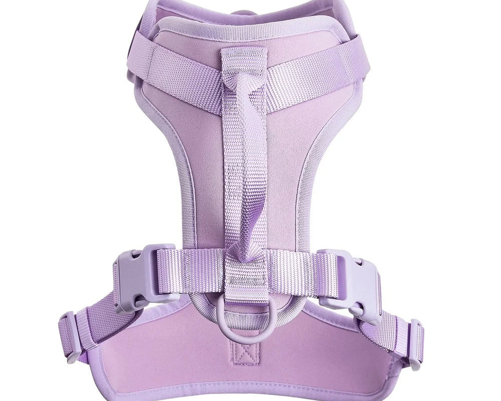 Adjustable Comfort Control Harness for Large Dogs with Secure D-Ring Leash Attachment