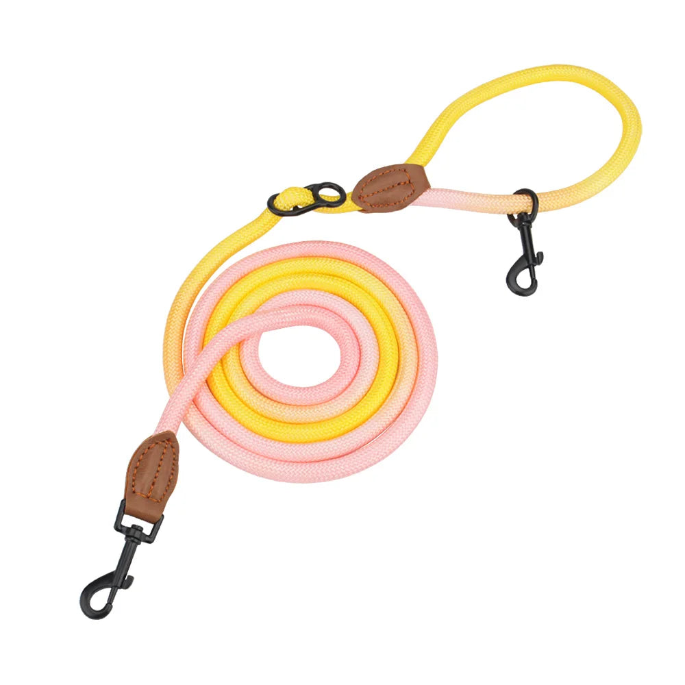 Double Head Crossbody Dog Leash – Training & Walking Rope Lead for Dogs & Cats