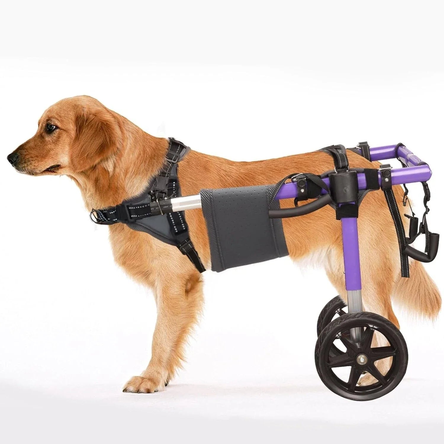 Dog Wheelchair for Back Legs – Lightweight Aluminum Frame with All-Terrain Wheels | Mobility Support for Large Dogs