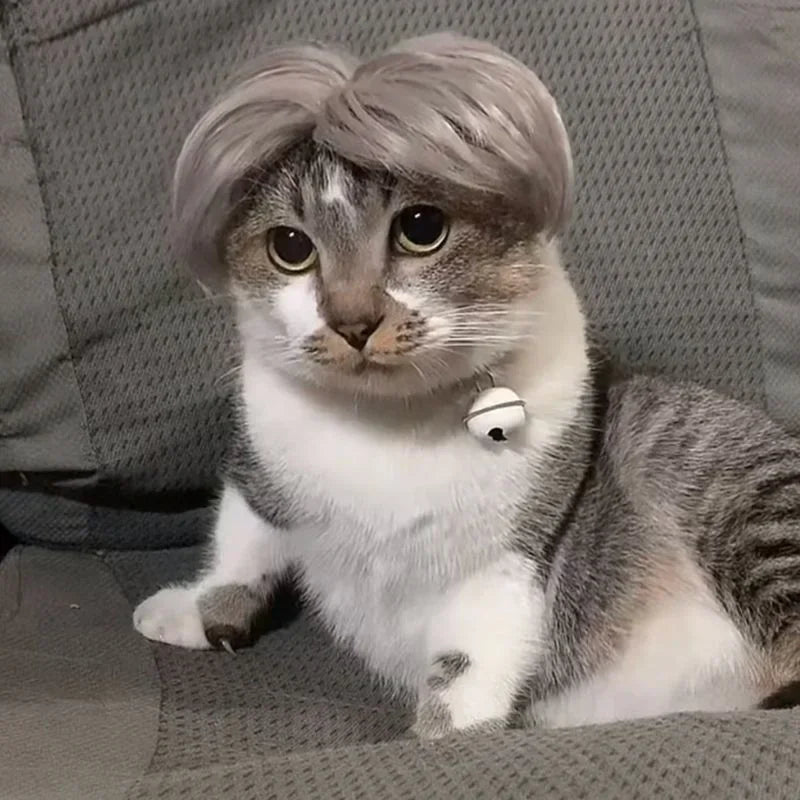 Pet Cosplay Wig – Funny Silver Hair Wig for Cats & Dogs, Holiday Party Dress-Up