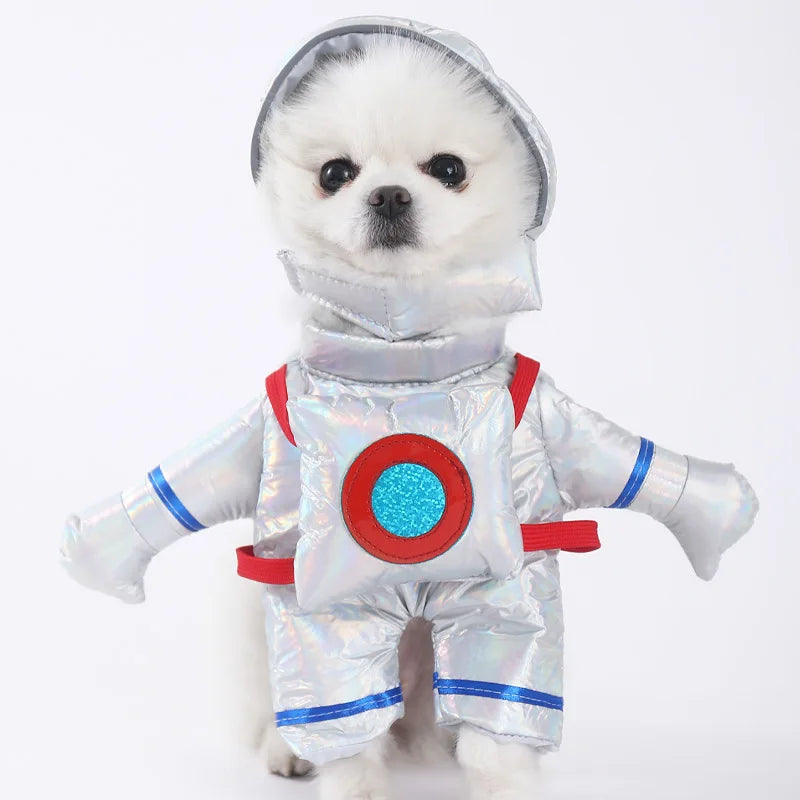 Halloween Dagger Costume – Funny Knife-Holding Outfit for Dogs & Cats