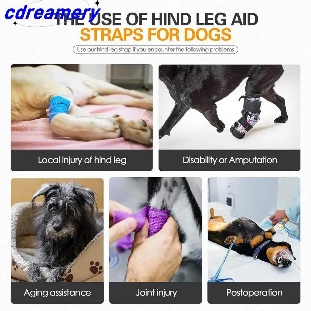 CDY Dog Lift Harness – Reflective Adjustable Back Leg Support Sling