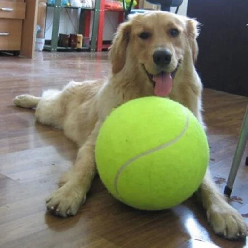9.5" Giant Inflatable Tennis Ball – Dog Chew & Interactive Toy