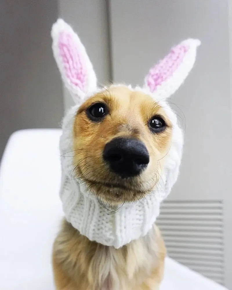 Christmas Elk Dog Hat – Knitted Warm Windproof Pet Headgear
