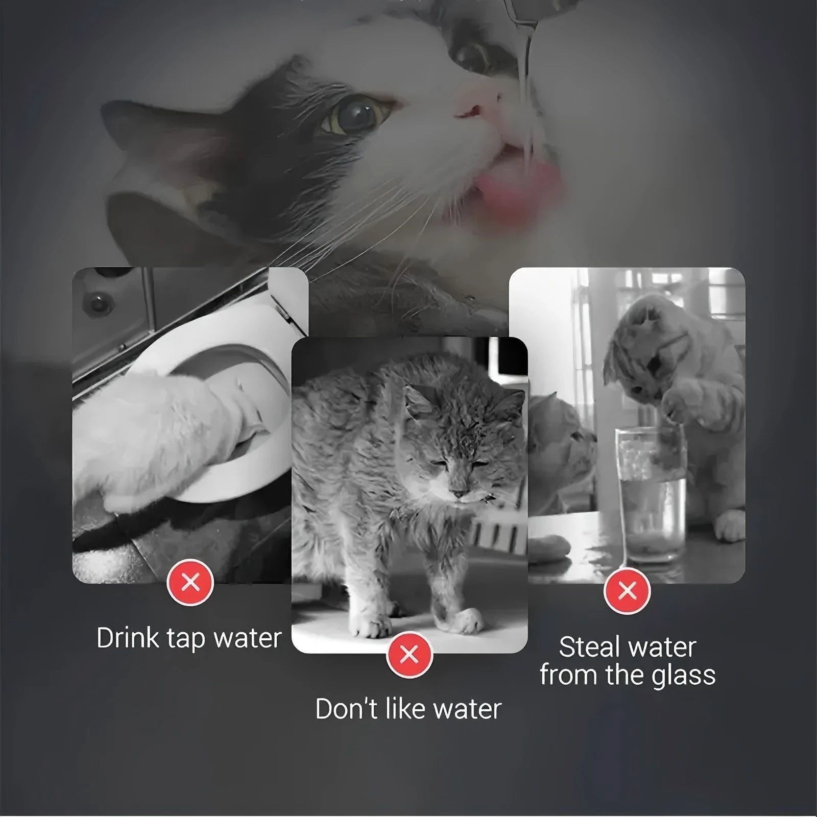 Smart Pet Water Dispenser – 1.8L Transparent Cat & Dog Fountain with Faucet & Filter