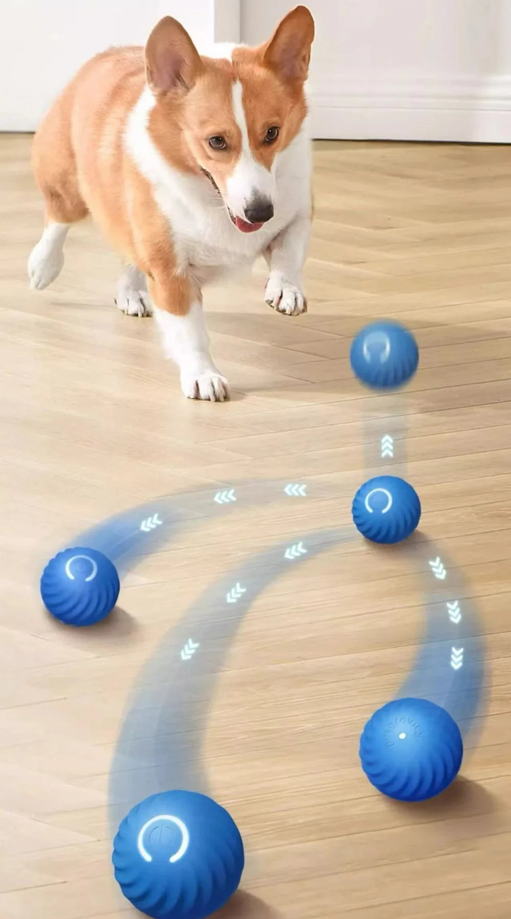 Smart Interactive Dog Toy Ball – USB Rechargeable, Automatic Jumping & Rotating