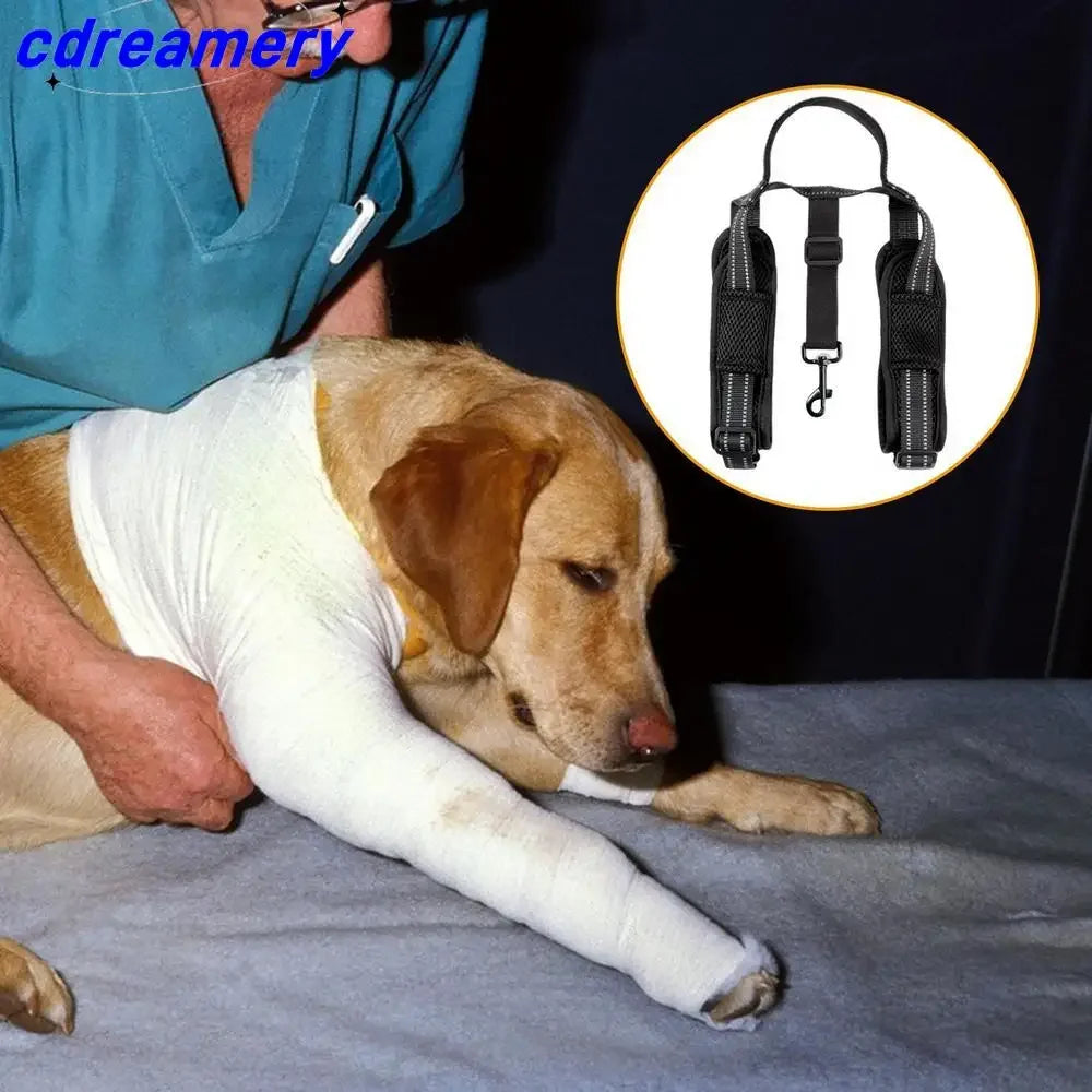CDY Dog Lift Harness – Reflective Adjustable Back Leg Support Sling