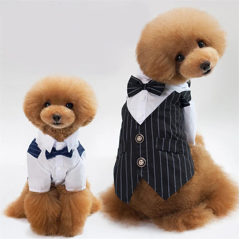 Dog Formal Shirt with Bow Tie – Stylish Tuxedo Suit for Small Dogs & Cats (Wedding & Party Outfit)