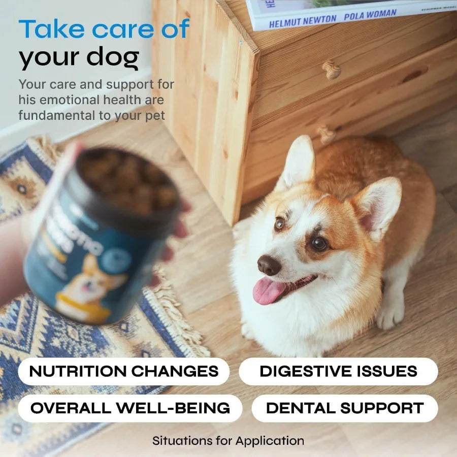 Probiotics for Dogs – Probiotic Chews with Prebiotics | Digestive, Gut, Dental & Immune System Support | Soft Chewable Treats