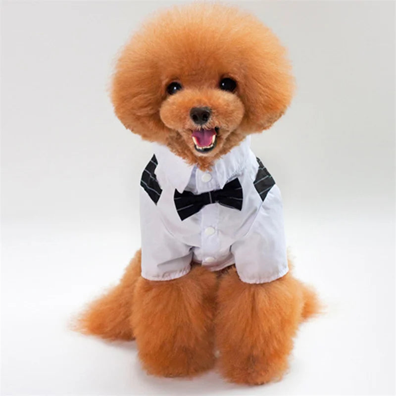 Dog Formal Shirt with Bow Tie – Stylish Tuxedo Suit for Small Dogs & Cats (Wedding & Party Outfit)