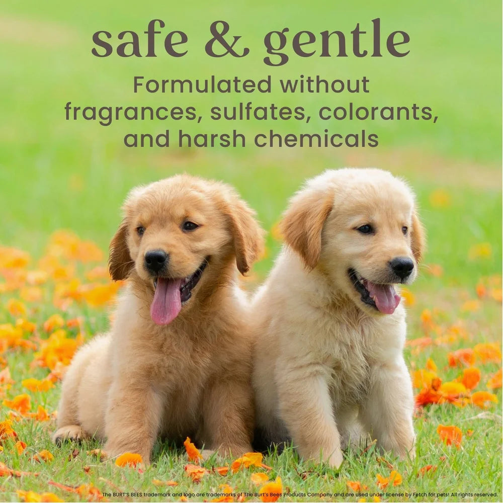 Natural Tearless 2-in-1 Dog Shampoo & Conditioner – Gentle Buttermilk & Linseed Oil Formula for Puppies | pH Balanced, Nourishing Pet Care